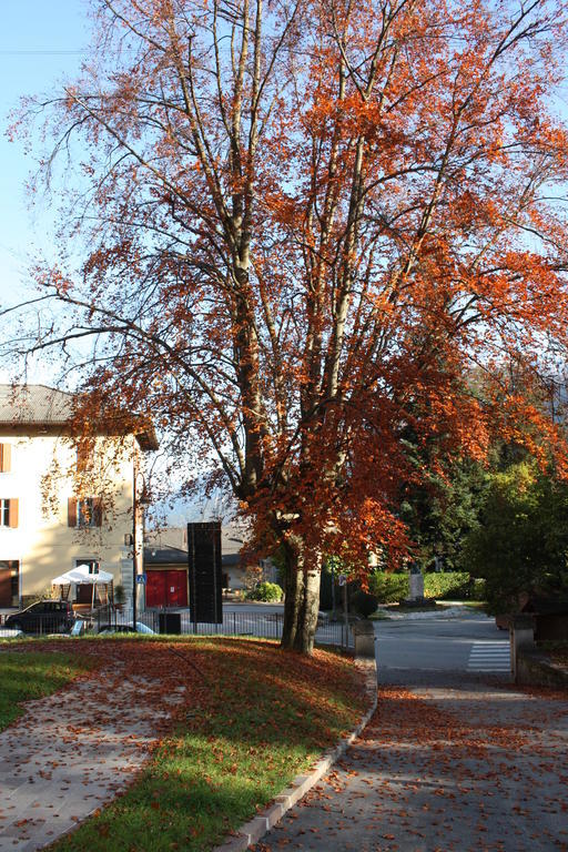 Garni Villa Waiz Roncegno エクステリア 写真